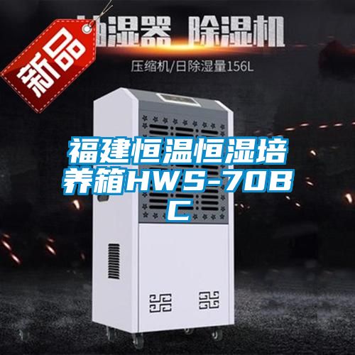 福建恒温恒湿培养箱HWS-70BC