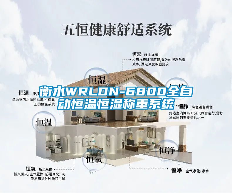 衡水WRLDN-6800全自动恒温恒湿称重系统