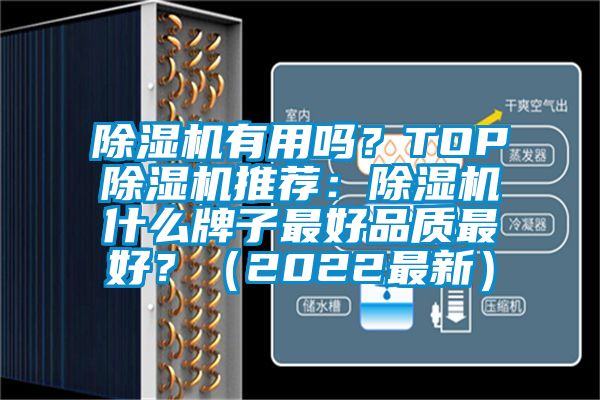 除湿机有用吗？TOP除湿机推荐：除湿机什么牌子最好品质最好？（2022最新）