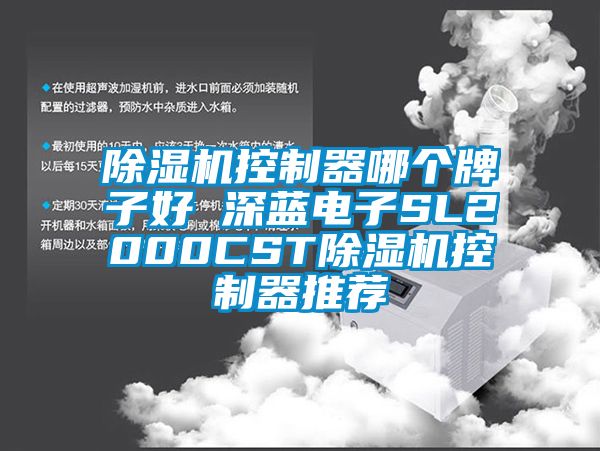 除湿机控制器哪个牌子好 深蓝电子SL2000CST除湿机控制器推荐