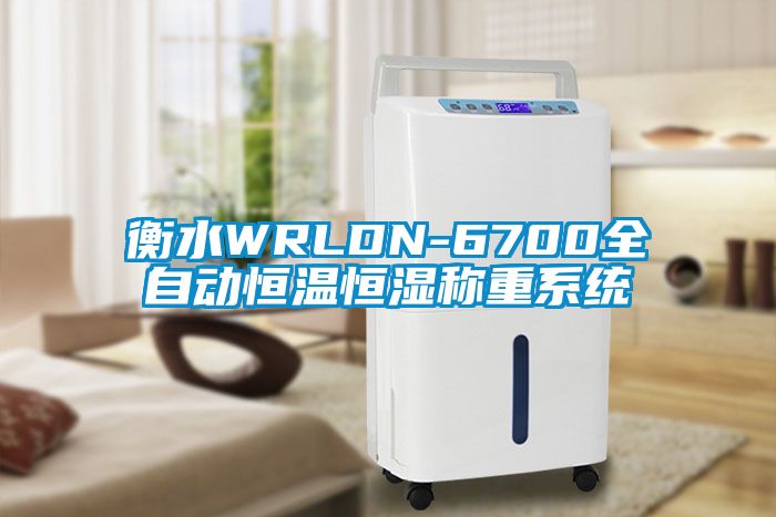 衡水WRLDN-6700全自动恒温恒湿称重系统