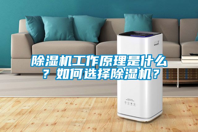 除湿机工作原理是什么？如何选择除湿机？