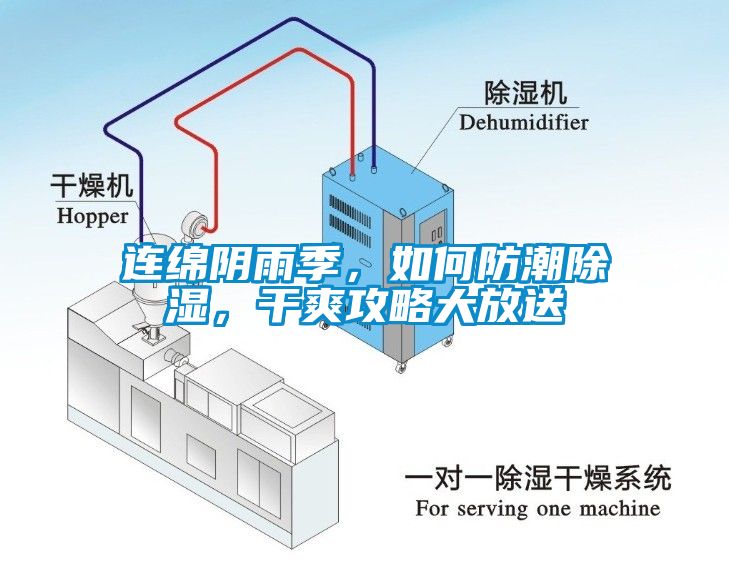 连绵阴雨季，如何防潮除湿，干爽攻略大放送