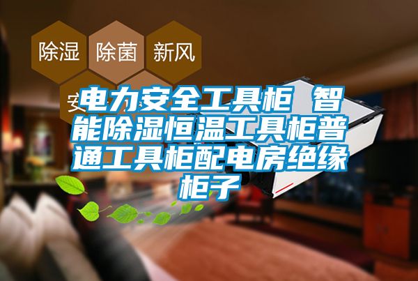 电力安全工具柜 智能除湿恒温工具柜普通工具柜配电房绝缘柜子