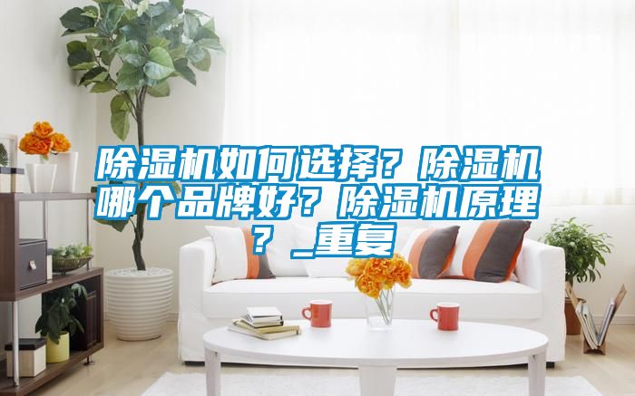 除湿机如何选择？除湿机哪个品牌好？除湿机原理？_重复