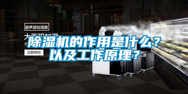 除湿机的作用是什么？以及工作原理？