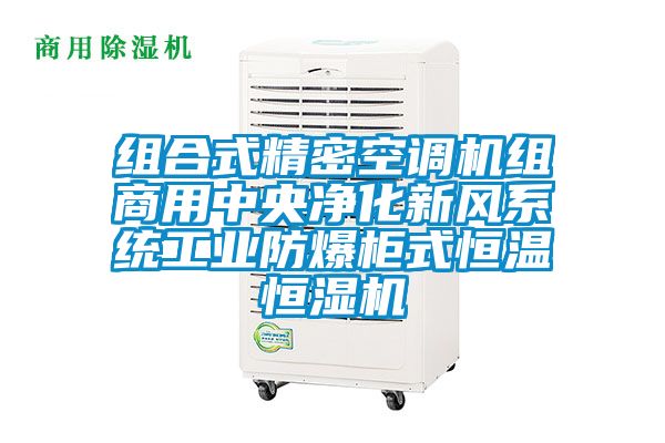 组合式精密空调机组商用中央净化新风系统工业防爆柜式恒温恒湿机