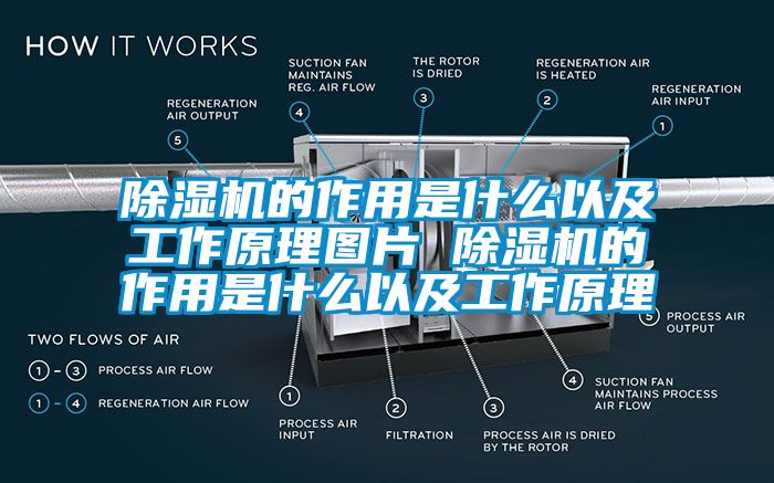 除湿机的作用是什么以及工作原理图片 除湿机的作用是什么以及工作原理