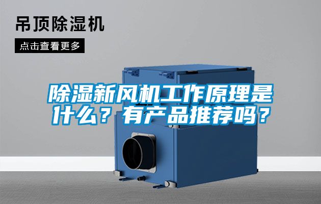 除湿新风机工作原理是什么？有产品推荐吗？