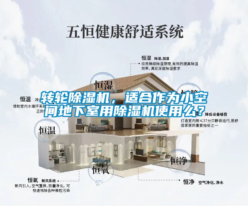 转轮除湿机，适合作为小空间地下室用除湿机使用么？