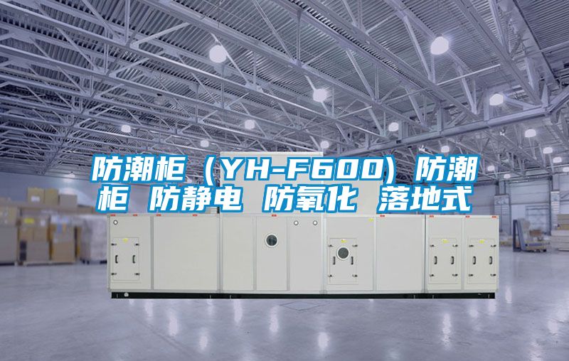 防潮柜（YH-F600) 防潮柜 防静电 防氧化 落地式