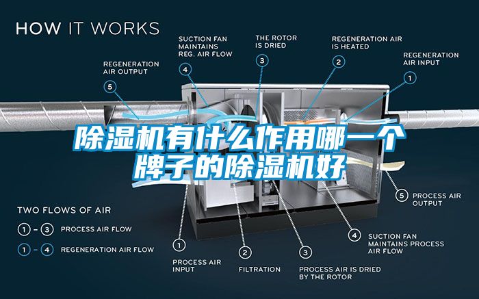 除湿机有什么作用哪一个牌子的除湿机好