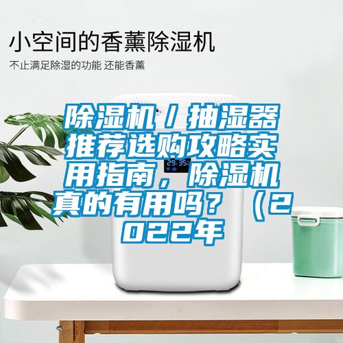 除湿机／抽湿器推荐选购攻略实用指南，除湿机真的有用吗？（2022年