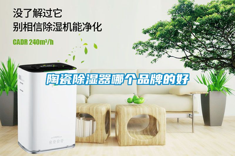 陶瓷除湿器哪个品牌的好