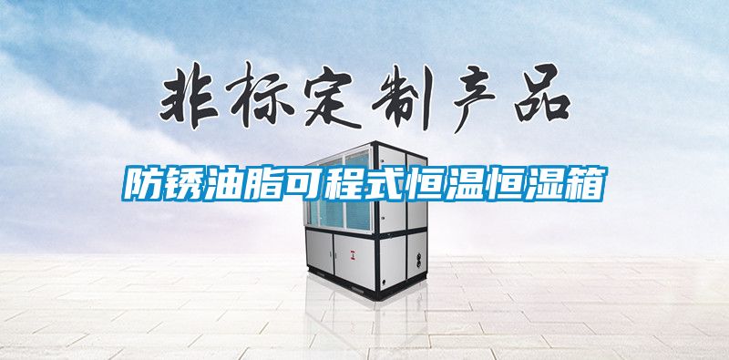 防锈油脂可程式恒温恒湿箱