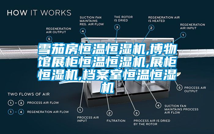 雪茄房恒温恒湿机,博物馆展柜恒温恒湿机,展柜恒湿机,档案室恒温恒湿机