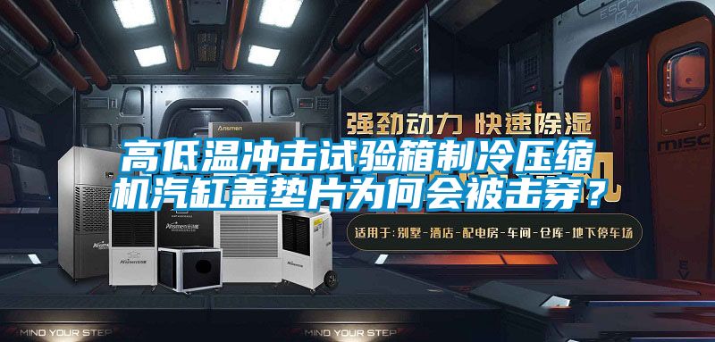 高低温冲击试验箱制冷压缩机汽缸盖垫片为何会被击穿？