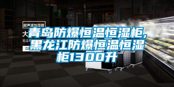 青岛防爆恒温恒湿柜,黑龙江防爆恒温恒湿柜1300升