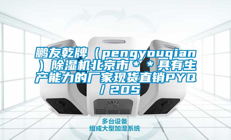 鹏友乾牌（pengyouqian）除湿机北京市＊＊具有生产能力的厂家现货直销PYQ／20S