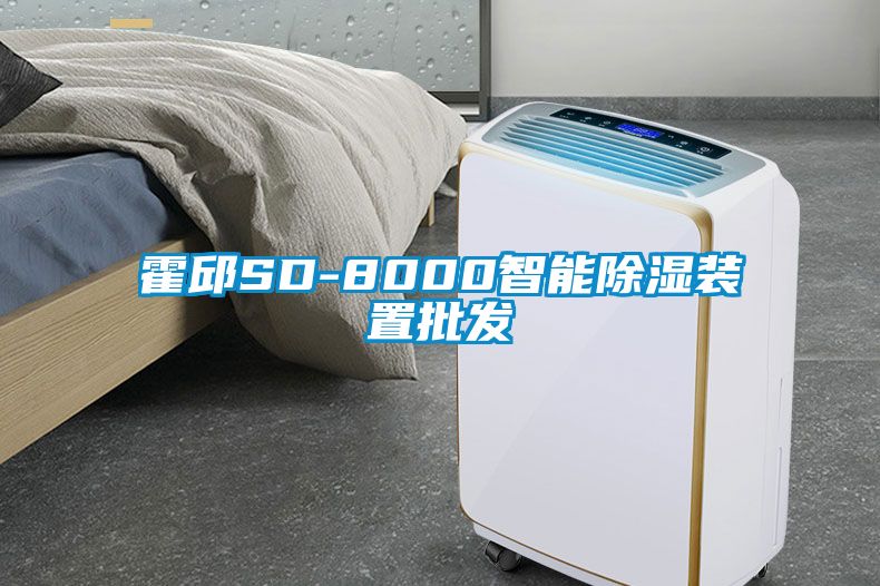 霍邱SD-8000智能除湿装置批发