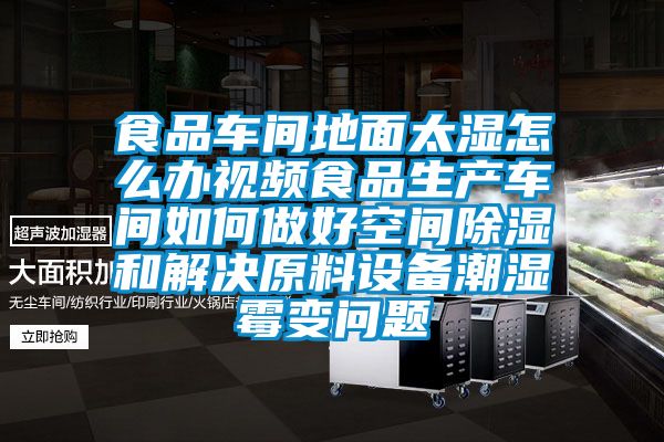 食品车间地面太湿怎么办视频食品生产车间如何做好空间除湿和解决原料设备潮湿霉变问题