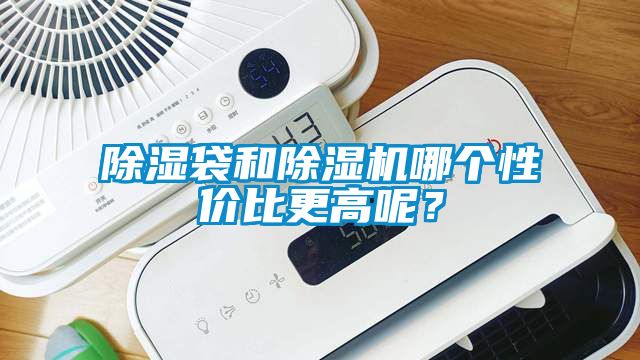 除湿袋和除湿机哪个性价比更高呢？