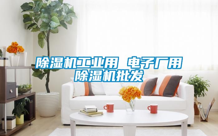 除湿机工业用 电子厂用除湿机批发